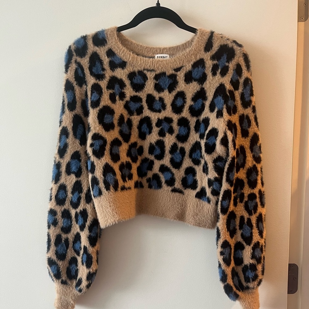 Sunday Best Super cute cheetah print teddy sweater in size XXS but fits like a S
